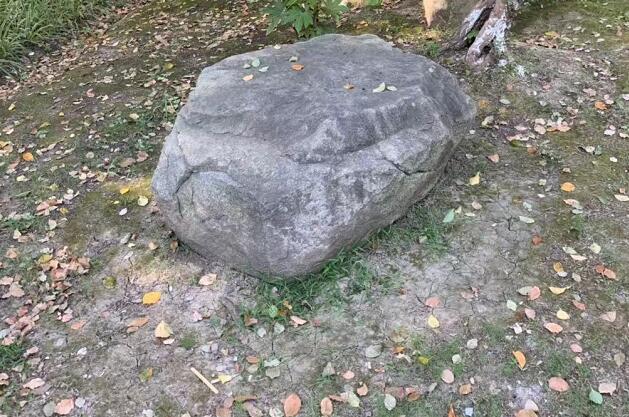 ǾĹЧǾĹЧͽ