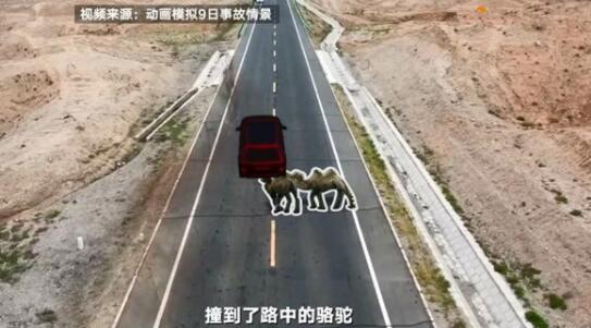 于月仙車禍?zhǔn)鹿仕緳C(jī)負(fù)全責(zé)