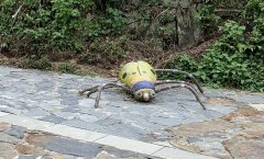 Ůӽ|ù׃׺βLM,¾|(zh)ַQʲô