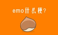 emoʲô˼W(wng)j(lu)Z?W(wng)j(lu)Zemoʲô