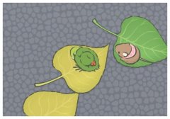 v(lin)χ팦ք,_޻ؑ