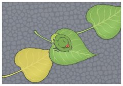 Ͱ׌˿옷(l)Ͱɫ