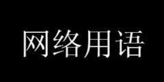 ʲô˼ʲôW(wng)j(lu)Z(y)