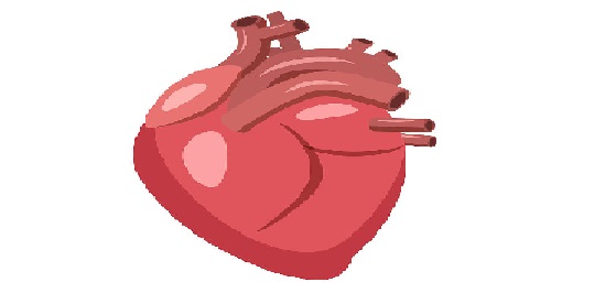 ŮKM(jn)һ4C