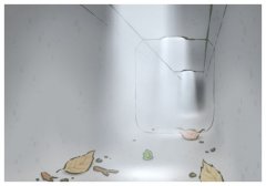 Swl(wi),ʲô˼